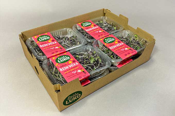 Speedtray Corrugated Trays
