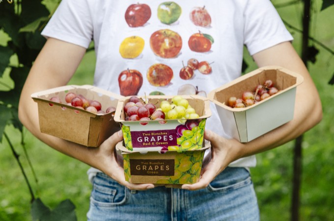 fruit and vegetable packaging