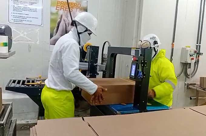 Colombian Chicken Packing Lines