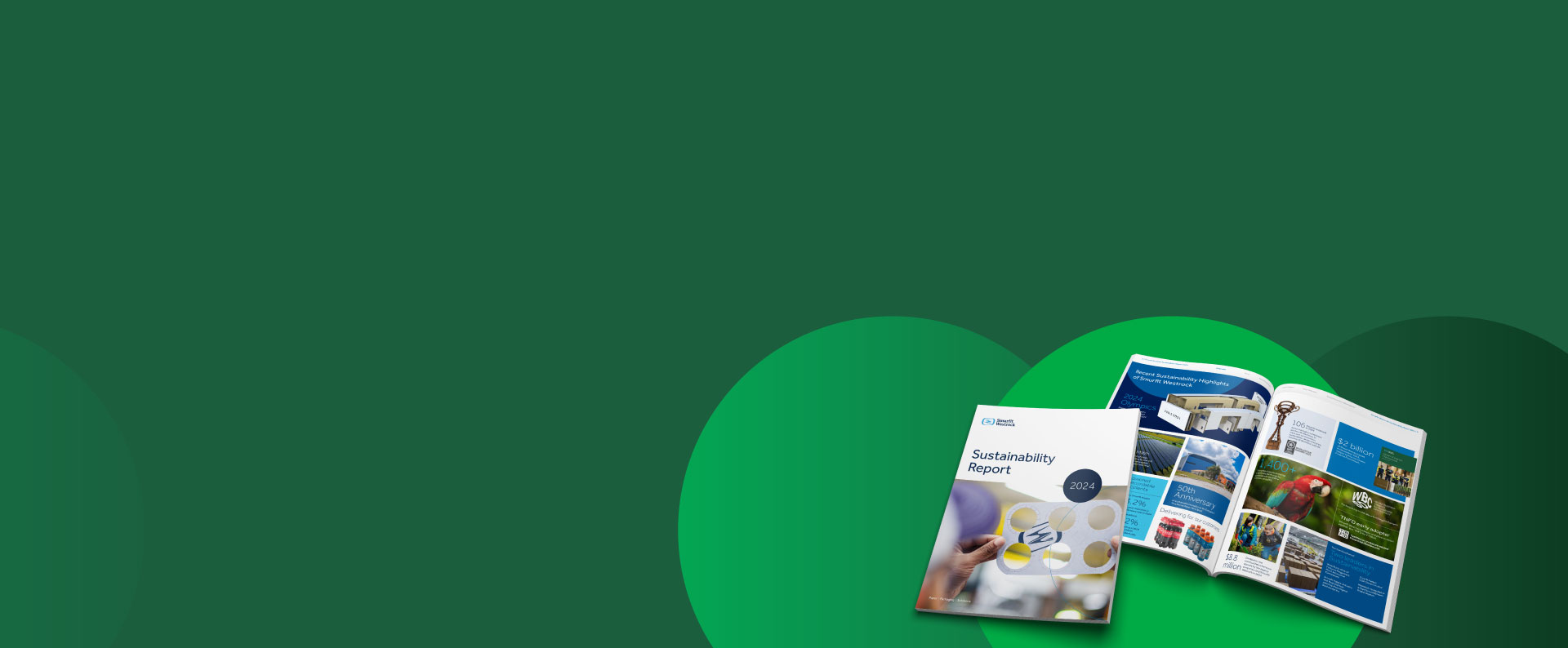 sustainability report 2024