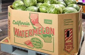 fruit and vegetable packaging