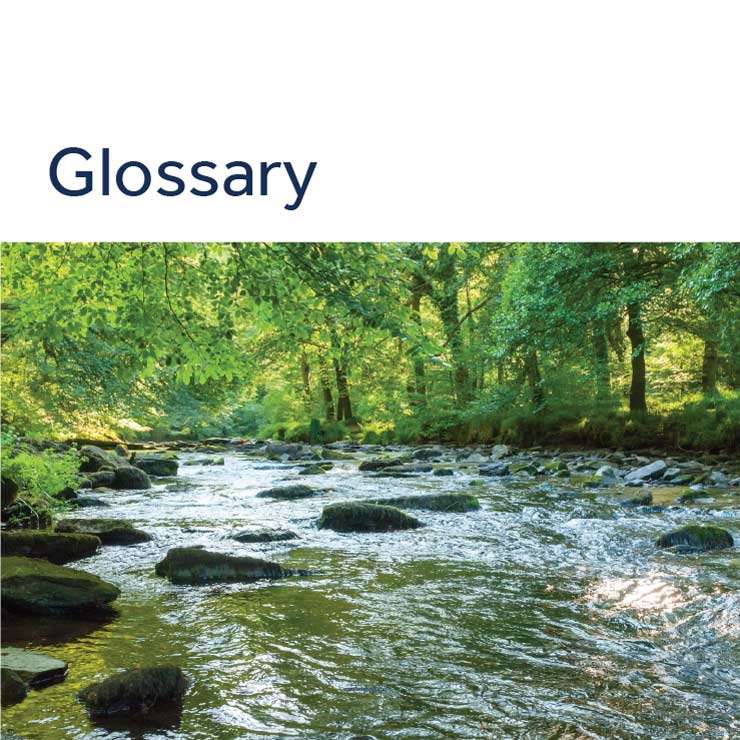 Sustainability report glossary 2024