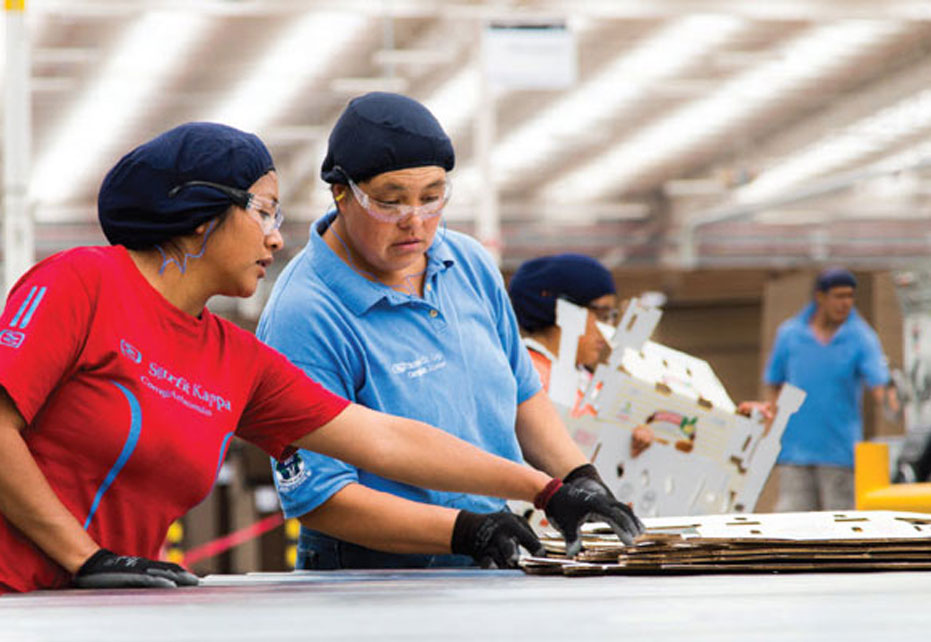 Smurfit Kappa in top 1 per cent of Ecovadis worldwide sustainability ratings