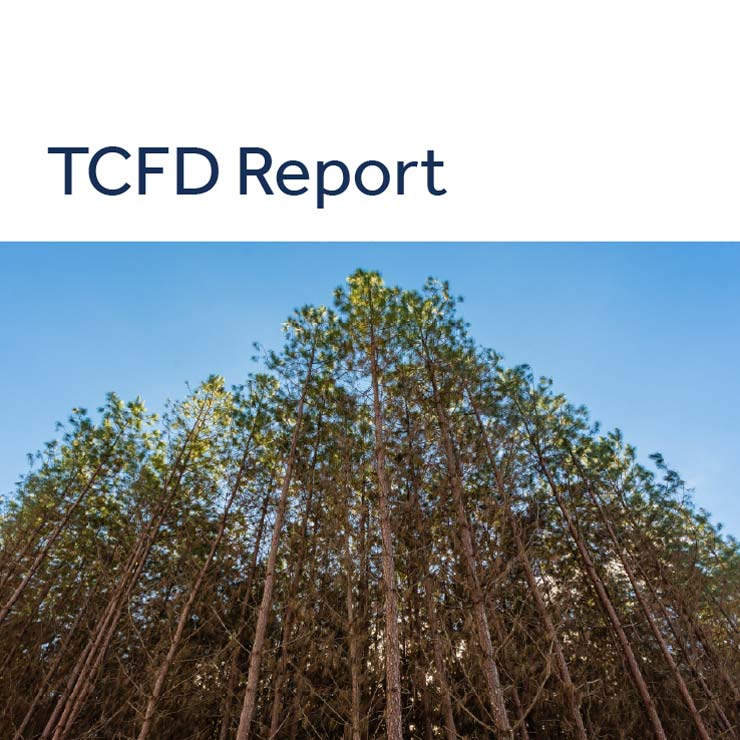 TCFD thumbnail