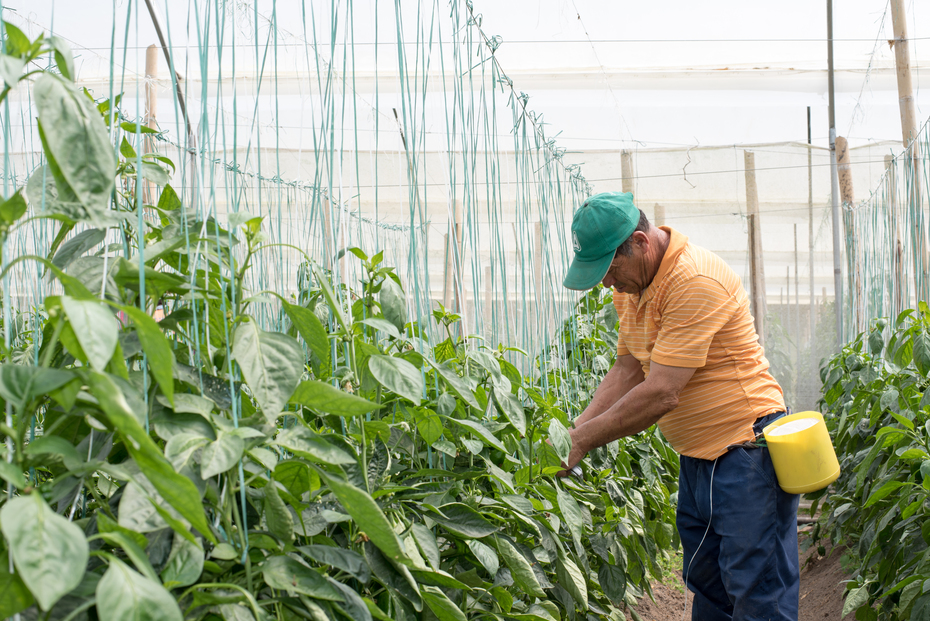 Smurfit Westrock invests US$3.5 million in social initiatives to drive a sustainable future